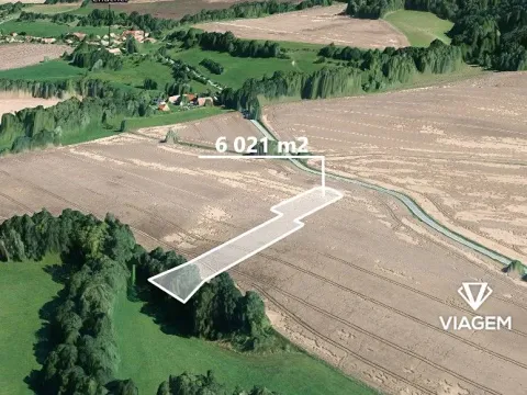 Prodej pole, Jeřišno, 6021 m2