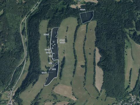 Prodej louky, Jindřichov, 75118 m2