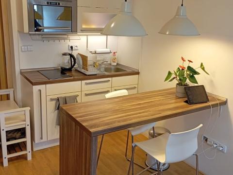 Pronájem bytu 1+kk, Brno, Táborská, 25 m2