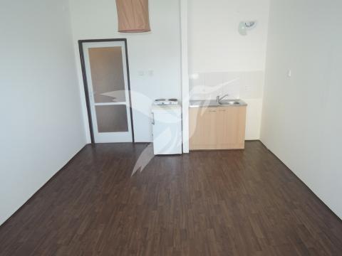 Pronájem bytu 1+kk, Praha - Braník, Novodvorská, 22 m2