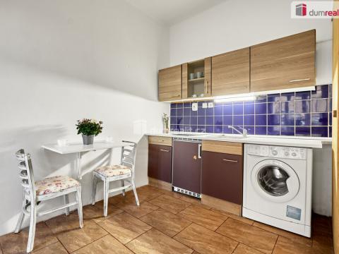 Pronájem bytu 1+kk, Ústí nad Labem - Ústí nad Labem-centrum, Emy Destinové, 21 m2