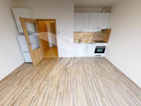 Pronájem bytu 1+kk, Plzeň, Nemocniční, 30 m2