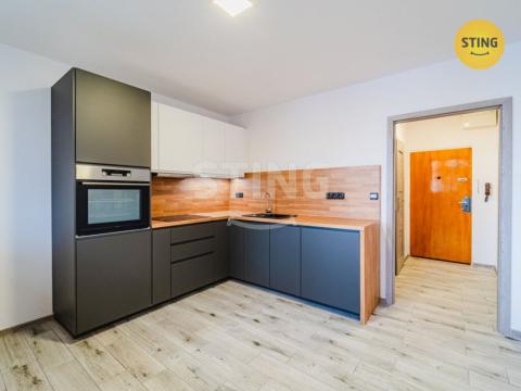 Pronájem bytu 1+1, Opava, Holasická, 37 m2