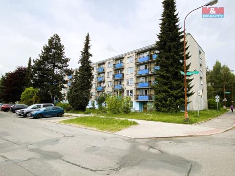 Pronájem bytu 1+1, Žďár nad Sázavou - Žďár nad Sázavou 4, Nerudova, 39 m2