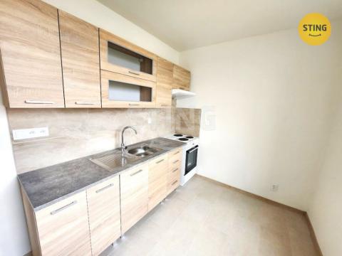 Pronájem bytu 2+1, Přerov, nábř. Protifašistických bojovníků, 55 m2