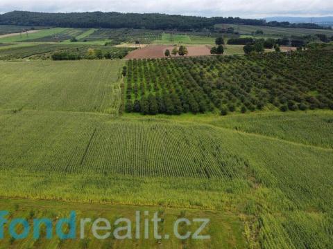 Prodej pole, Malovice - Krtely, 4926 m2