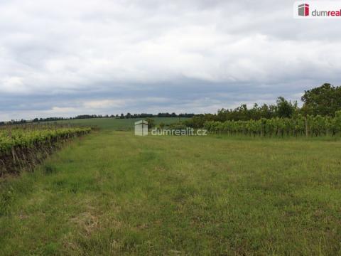 Prodej zahrady, Valtice, Lipová, 4880 m2