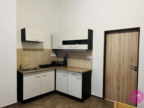 Pronájem bytu 2+1, Olomouc, Riegrova, 100 m2