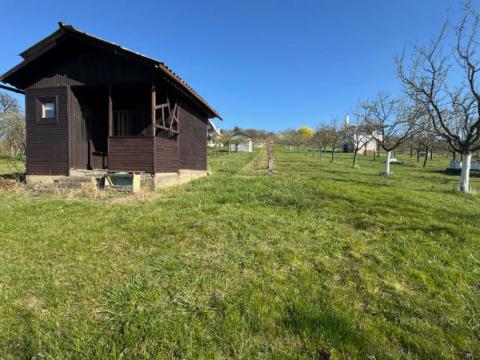 Prodej sadu/vinice, Strážnice, 2214 m2