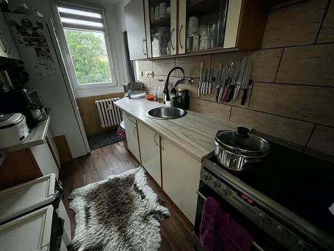 Pronájem bytu 2+1, Pelhřimov, Friedova, 48 m2