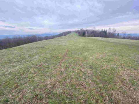 Prodej pole, Mírová pod Kozákovem, 22044 m2