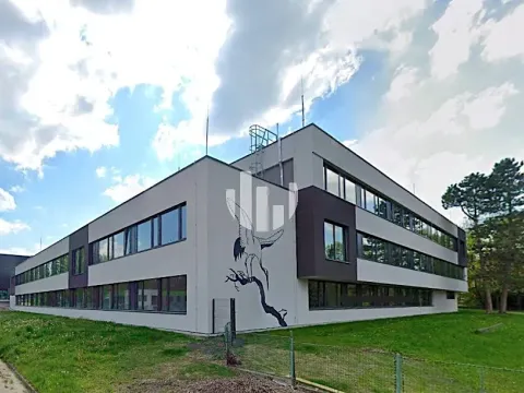 Pronájem kanceláře, Ostrava, Slavíkova, 1700 m2