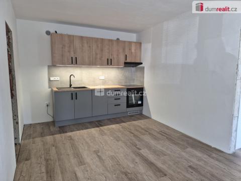 Pronájem bytu 2+kk, České Budějovice - České Budějovice 3, Na Sadech, 43 m2