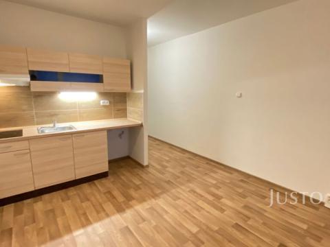 Pronájem bytu 1+kk, Ústí nad Labem - Severní Terasa, Glennova, 21 m2