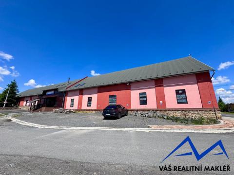 Pronájem výrobních prostor, Ostrava, Výhledy, 1180 m2