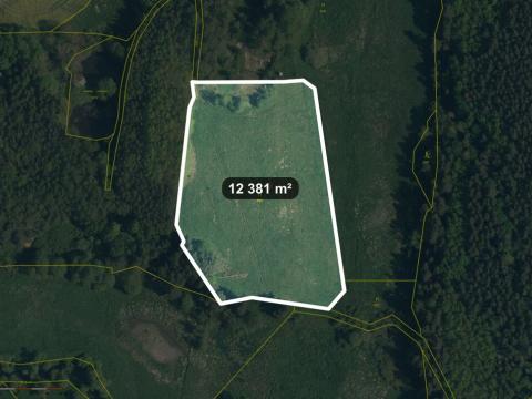 Prodej pole, Lom u Tachova, 12381 m2