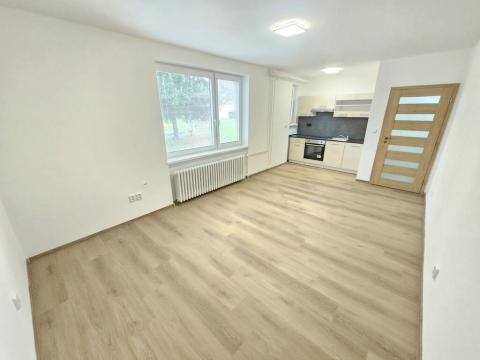 Pronájem bytu 1+kk, Svitávka, Školní, 34 m2