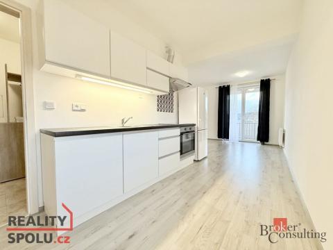 Prodej bytu 1+kk, Nová Role, Svobodova, 39 m2