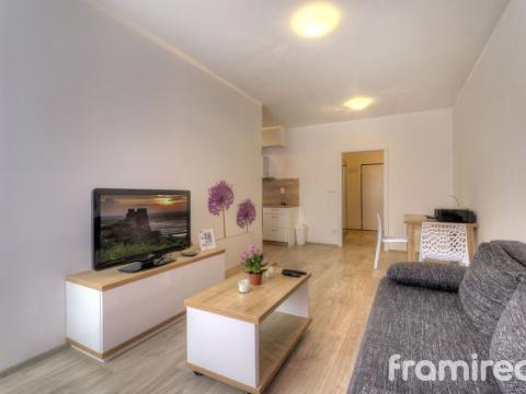 Pronájem bytu 2+kk, Brno, Gajdošova, 48 m2