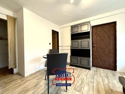 Pronájem bytu 1+kk, Český Krumlov - Nové Spolí, 20 m2