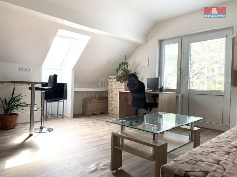 Pronájem bytu 1+kk, Bratrušov, 24 m2