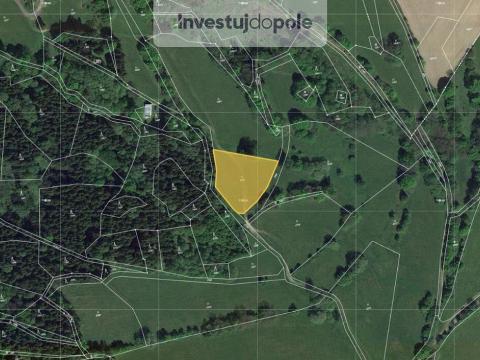 Prodej louky, Horní Branná - Valteřice, 2558 m2