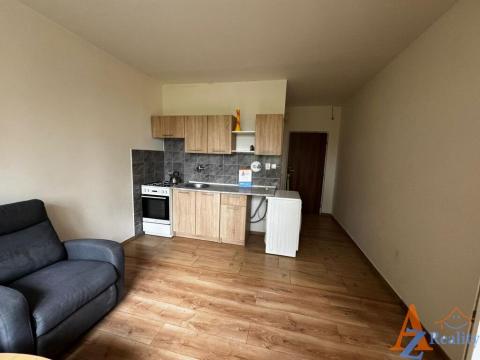 Pronájem bytu 1+1, Chomutov, Kyjická, 40 m2