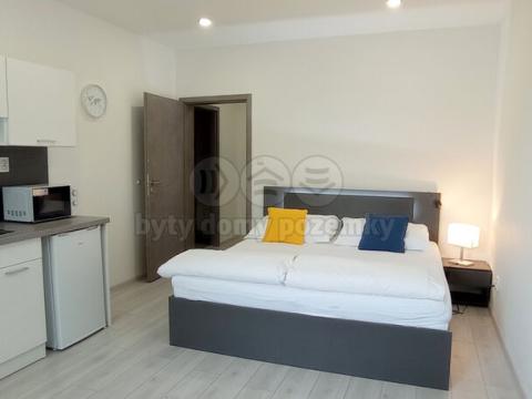 Pronájem bytu 1+kk, Frýdek-Místek - Frýdek, Růžový pahorek, 30 m2