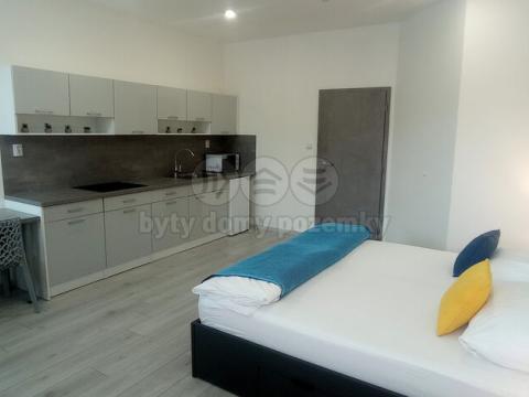 Pronájem bytu 1+kk, Frýdek-Místek - Frýdek, Růžový pahorek, 31 m2