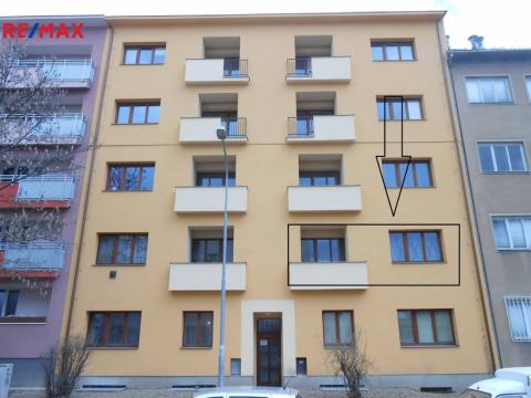 Pronájem bytu 1+1, Brno - Štýřice, Polní, 55 m2