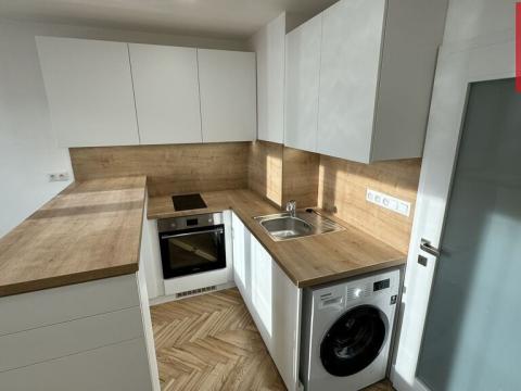 Pronájem bytu 1+kk, Opava, Holasická, 21 m2