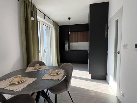 Pronájem bytu 1+kk, Brno, Reissigova, 42 m2