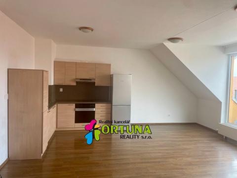 Pronájem bytu 2+kk, České Budějovice, B. Smetany, 56 m2