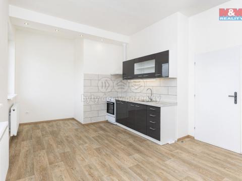 Pronájem bytu 1+1, Vysoké Mýto - Pražské Předměstí, Mánesova, 43 m2