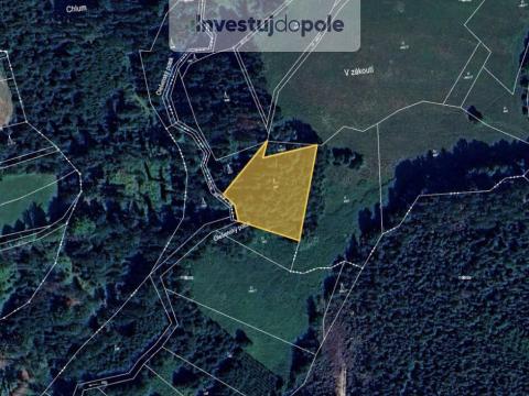 Prodej lesa, Prosíčka - Dolní Prosíčka, 4042 m2