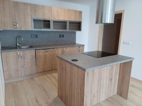 Pronájem bytu 2+kk, České Budějovice - České Budějovice 2, Na Zlaté stoce, 55 m2