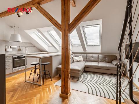Pronájem bytu 1+kk, Praha - Malá Strana, Petřínská, 31 m2