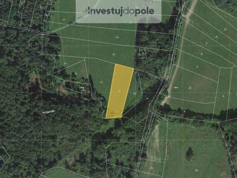 Prodej louky, Neurazy - Nová Ves u Nepomuka, 3979 m2