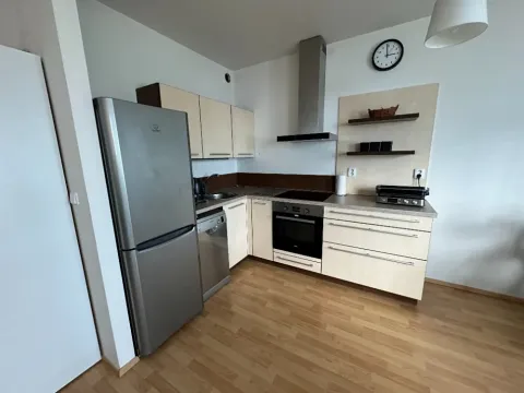 Pronájem bytu 1+kk, Brno, Říčanská, 38 m2