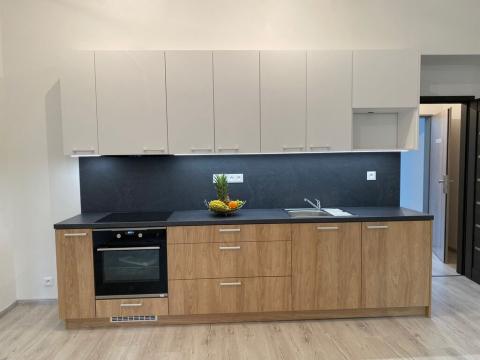 Pronájem bytu 2+kk, Ústí nad Labem - Střekov, Žukovova, 50 m2