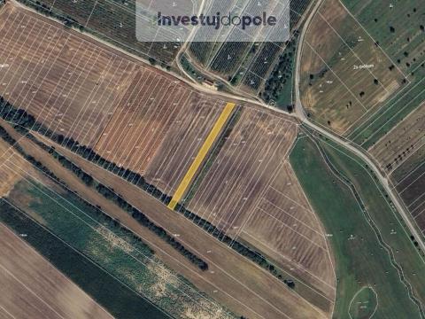 Prodej pole, Šardice, 1199 m2