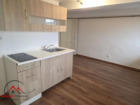 Pronájem bytu 1+1, Ostrava, Mariánskohorská, 31 m2