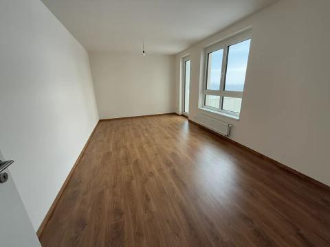 Pronájem bytu 1+kk, Praha - Dolní Měcholupy, Kardausova, 36 m2