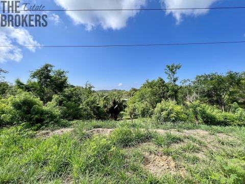 Prodej pozemku, Coxen Hole, Roatán, Honduras, 716 m2
