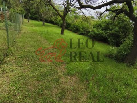 Prodej zahrady, Slavkov u Brna, 595 m2