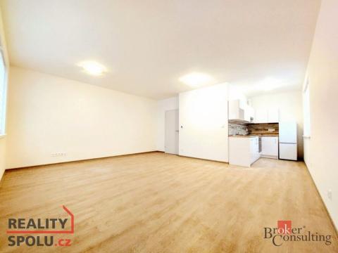 Pronájem bytu 1+kk, Plzeň - Jižní Předměstí, Na Jíkalce, 42 m2