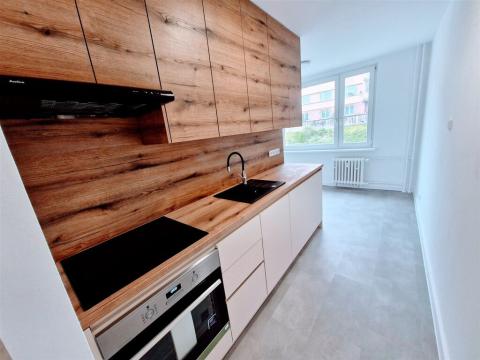 Pronájem bytu 2+1, Ústí nad Labem - Střekov, Tolstého, 65 m2