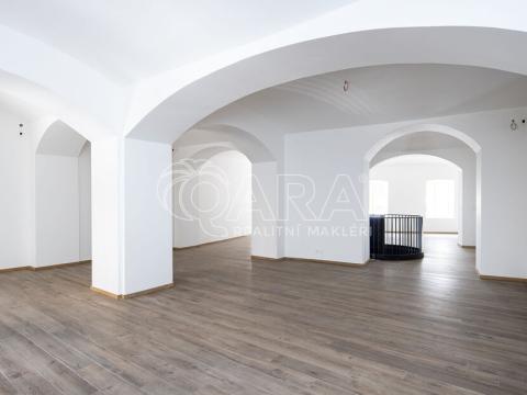 Pronájem obchodního prostoru, Praha - Nové Město, Truhlářská, 379 m2
