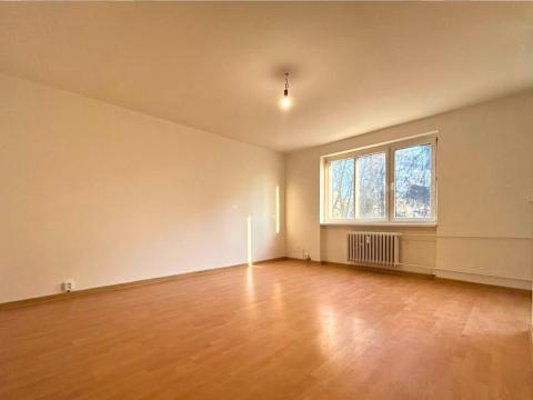 Pronájem bytu 1+kk, Kladno, Vašíčkova, 38 m2