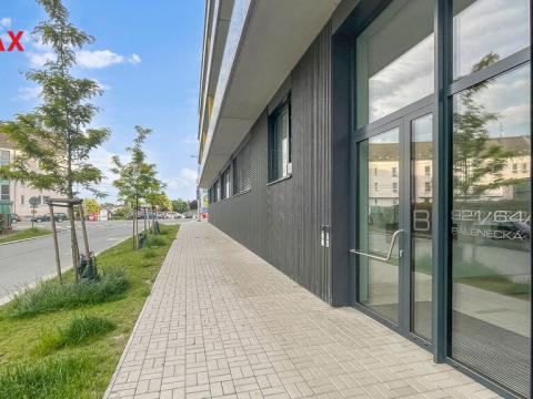 Prodej bytu 3+kk, Hradec Králové - Kukleny, Pálenecká, 76 m2